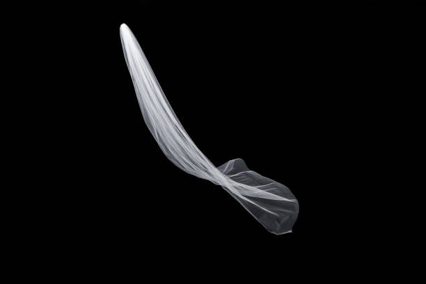 istock wedding white Bridal veil isolated on black background 813940022