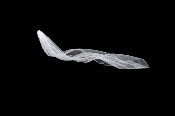 istock wedding white Bridal veil isolated on black background 813940040