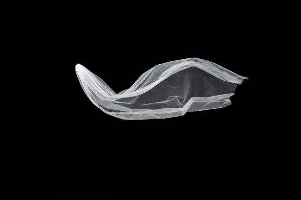 istock wedding white Bridal veil isolated on black background 813940150
