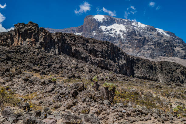 istock Kilimanjaro view from Machame route 813945080