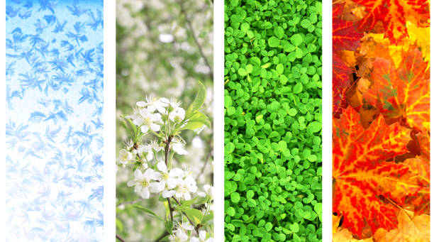 istock Four seasons of year 813968184