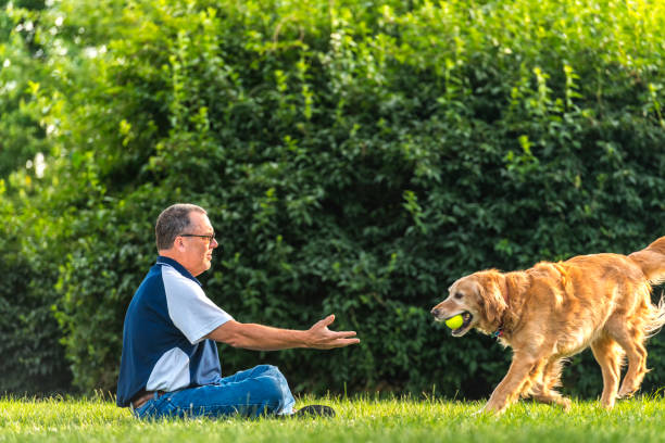 istock Man playing fetch with his dog at sunset 813969910
