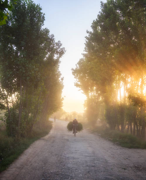 istock Farmer on cycle near Peshawar 813973440