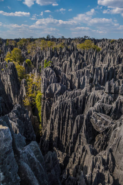 istock Bemaraha tsingy nature reserve view 813980808