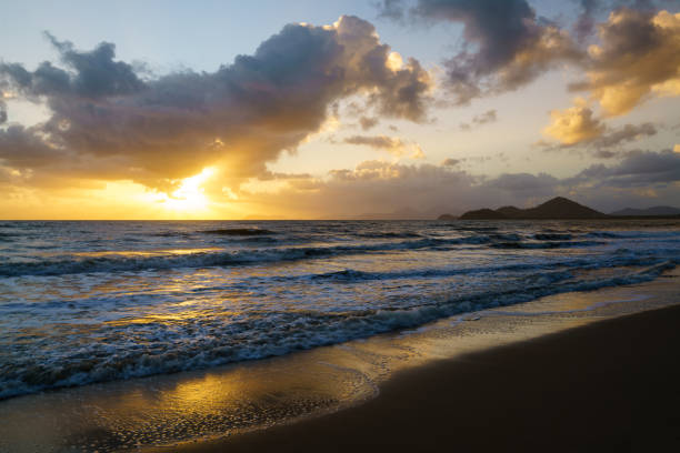 istock Palm Cove Beach Sunrise 813980830