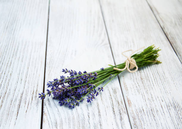 istock bunch of lavender 813983194