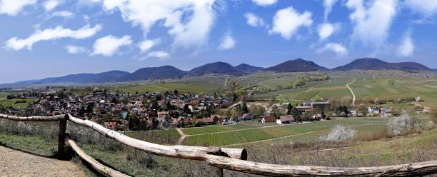 Panoramic view from the „kleine Kalmit“ to the Palatinate forest