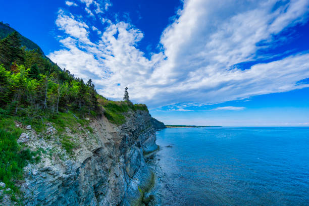 Cap-Bon-Ami (translates to Good Friend Cape in English) in Forillon, one of Canada’s 42 National parks and park reserves, situated near Gaspé, Eastern Québec. Travel and nature photography. gulf of st lawrence photos stock pictures, royalty-free photos & images