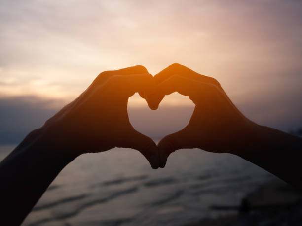 istock Silhouette hand in heart shape for love concept. 813995920