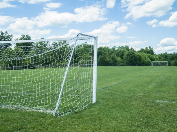 国民の側面図サッカー場、ゴール左ネット - soccer man made material goal post grass ストックフォトと画像