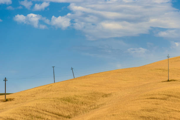 istock Summer landscape in Tuscany. 813999126