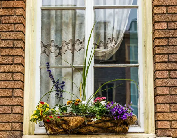 Flowers basket closeup on window sill outside brick European building