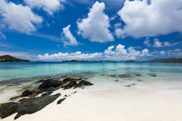 istock Beautiful tropical beach, Sapphire Beach, St Thomas 814007530