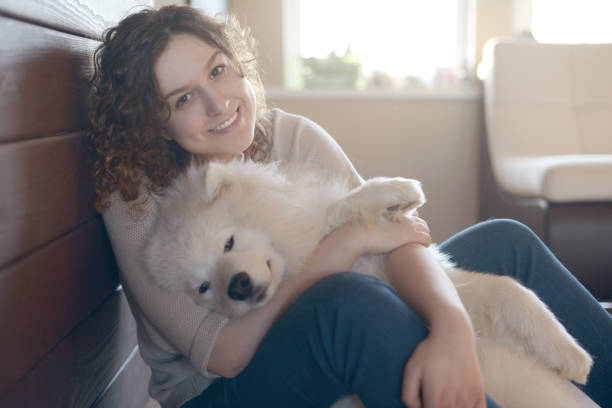 istock Girl and Samoyed dog 814010372