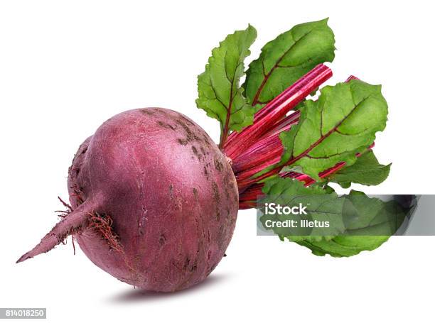 Beetroot With Leaves Isolated Stock Photo - Download Image Now - Common Beet, Beet, White Background