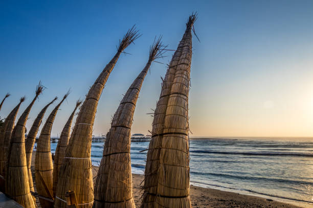 Huanchaco Beach and the traditional reed boats (caballitos de totora) - Trujillo, Peru Huanchaco Beach and the traditional reed boats (caballitos de totora) - Trujillo, Peru sedge stock pictures, royalty-free photos & images