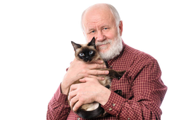 istock Cheerfull senior man with cat isolated on white 814048148