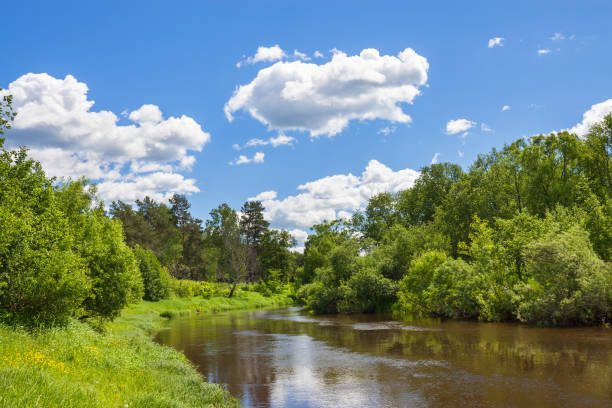 istock rural summer landscape with forest, river, blue sky and white clouds. 814081962