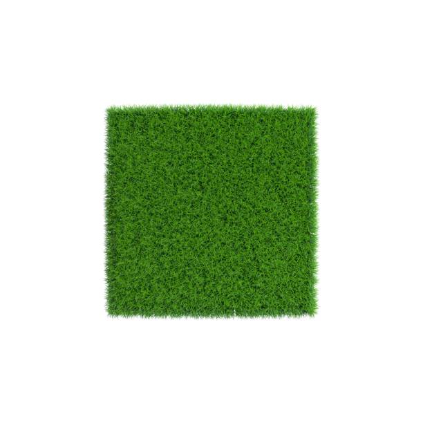 istock Patch of grass in form of square.3D rendering illustration. 814082420