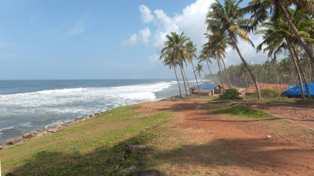 istock Palm trees on a beach with the waves rolling in 814087044