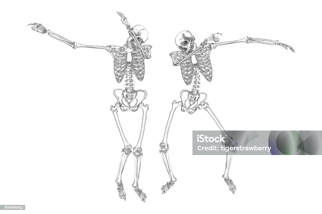 Dapping Move Human Skeletons Dancing Dab Like Friends Perform Dabbing Move Gesture ...
