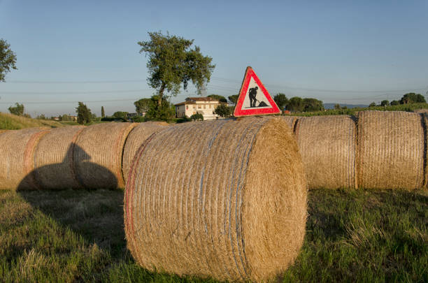 istock Road sign over straw round bale 814101460