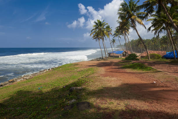 istock Coconut palms on  a rock strewn beach pounded by rough waves 814106360