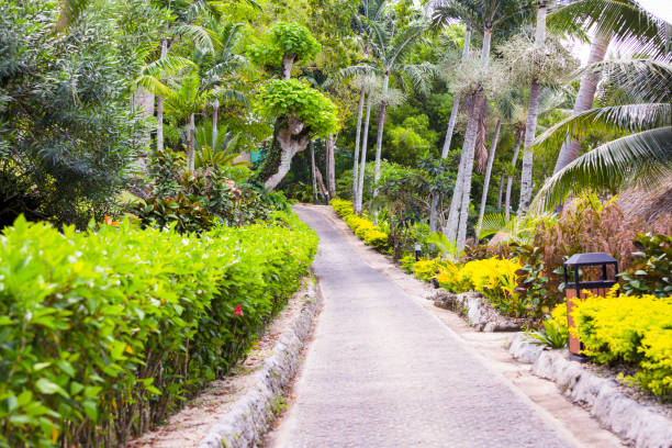 Path in Iririki Island, Vanuatu, full frame horizontal composition with copy space