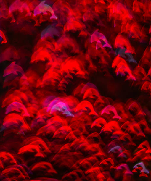 istock Beautiful background with different colored dolphin, abstract background, animal shapes 814113414
