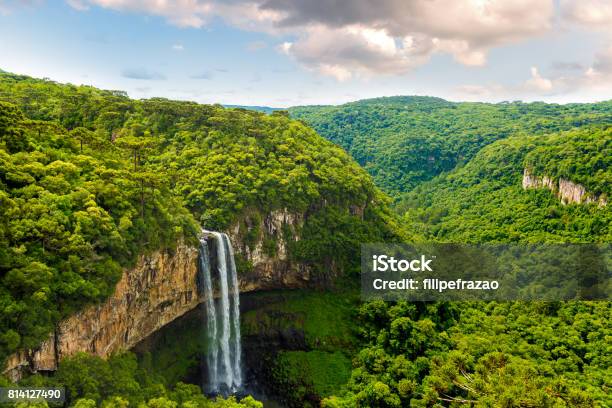 Caracol Falls In Canela Rio Grande Do Sul Brazil Stock Photo - Download Image Now - Brazil, Forest, Rainforest