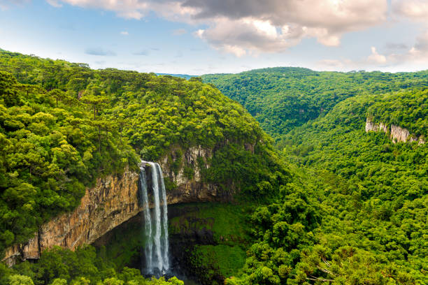 caracol spada w canela, rio grande do sul, brazylia - scenics cliff landscape canyon zdjęcia i obrazy z banku zdjęć