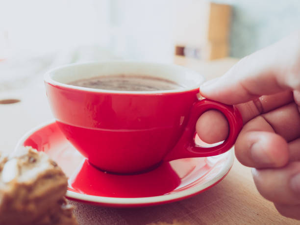 istock Hot cocoa and chocolate chips cookies. 814130332