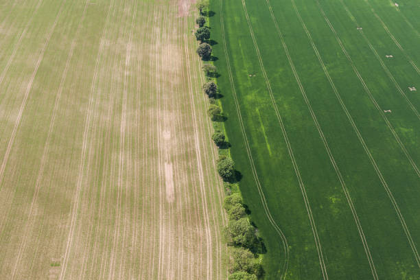 istock aerial view of the harvest fields 814140948