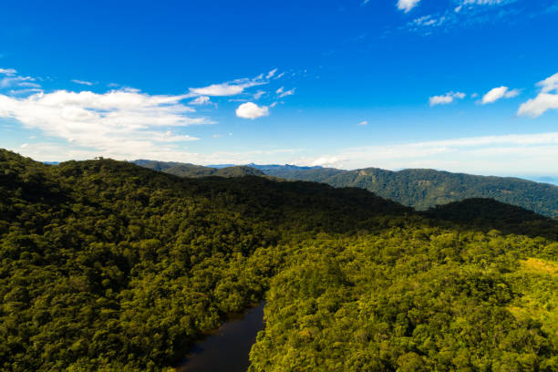 istock Aerial View of Mountains in Rainforest 814147958