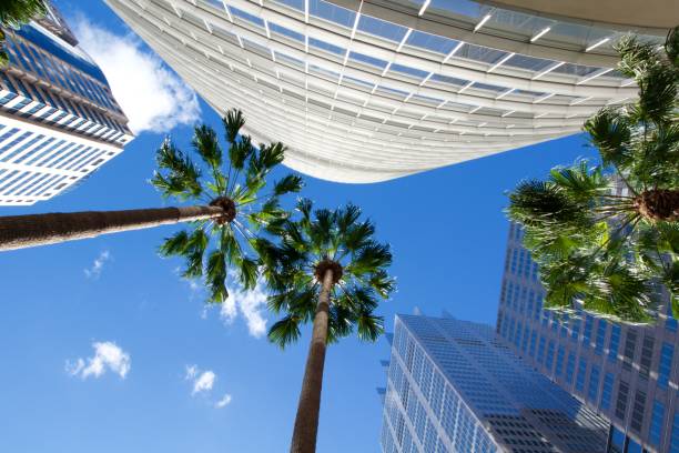 istock Clouds, tall buildings and palm trees 814152878
