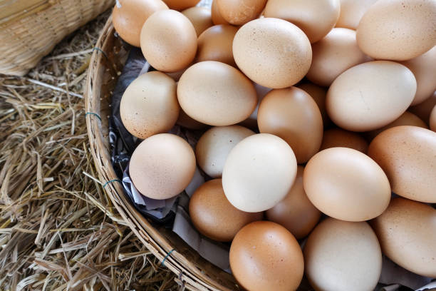 istock Hen eggs basket on straw / fresh farmer's eggs 814160546