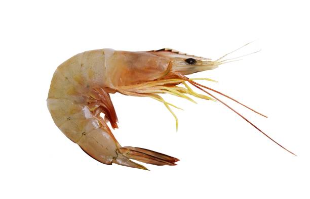 istock Banana shrimp on white background 814163184