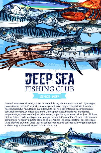 illustrazioni stock, clip art, cartoni animati e icone di tendenza di poster vettoriale di pesca club pesce pesce pesca pesca - catch of fish fish tuna sea bream