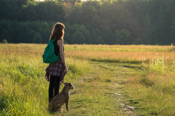 istock Owner and her pet puppy outdoors on a warm sunny day. 814184204