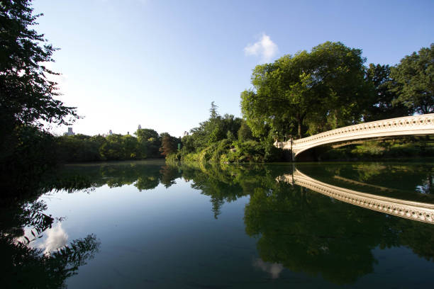 istock Bow bridge, trees and blue sky clearly reflect on calming water at Central Park 814186520