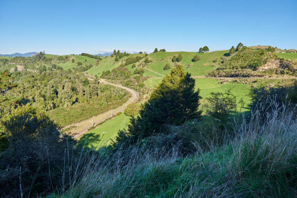 istock Rolling new zealand countryside with meadows and pastures 814198342