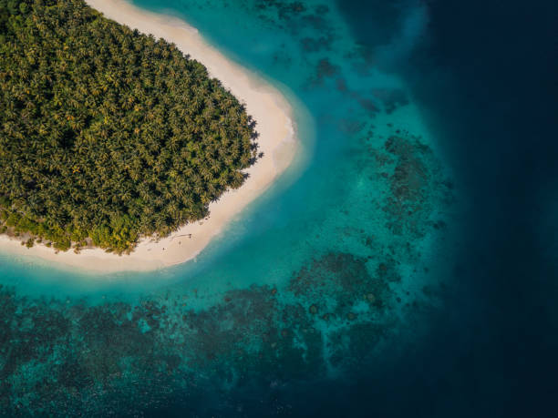 istock Tropical Island and Crystal Ocean 814233904