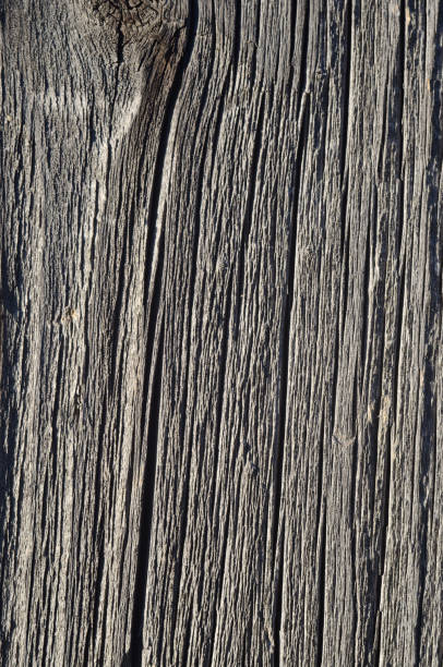istock texture of the old rough wood 814236696