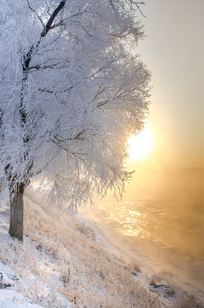 istock Jilin wusong island 814239680
