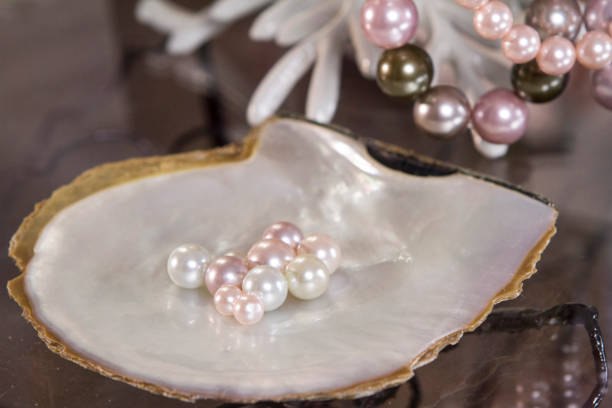 multicolor of pearls difference color of pearls made to necklace pearl clam photos stock pictures, royalty-free photos & images