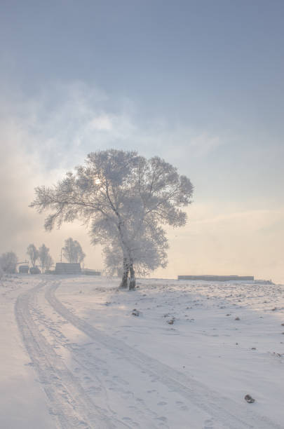 istock Jilin wusong island 814240028