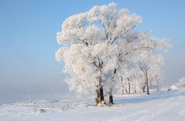 istock Jilin wusong island 814240058