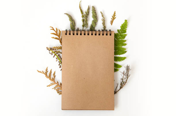 istock Mock up of craft paper notepad on white background with dry plants. 814242546