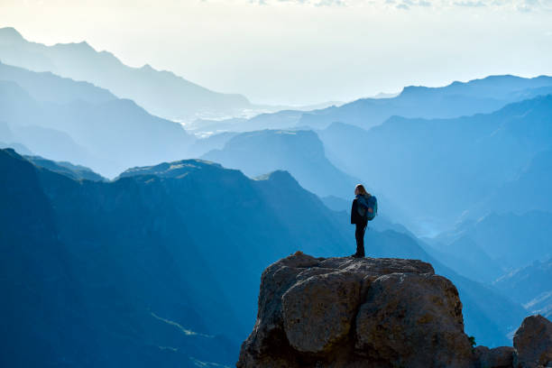 istock admiring amazing view over Grand Canary 814247184
