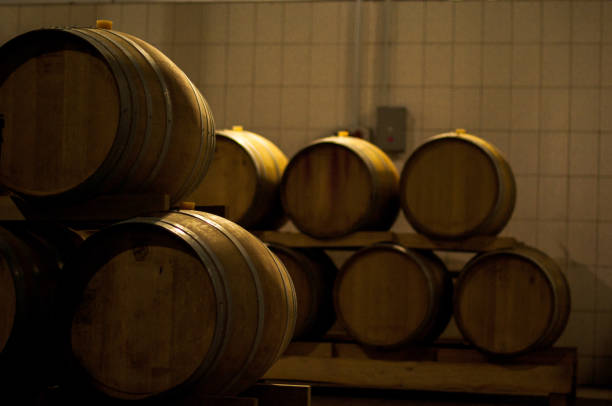 istock Wine barrels in wine-vaults in order 814279514